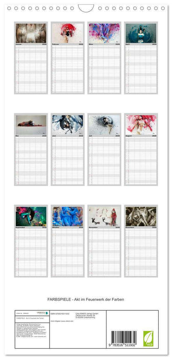 FARBSPIELE - Akt im Feuerwerk der Farben (CALVENDO Familienplaner 2026)