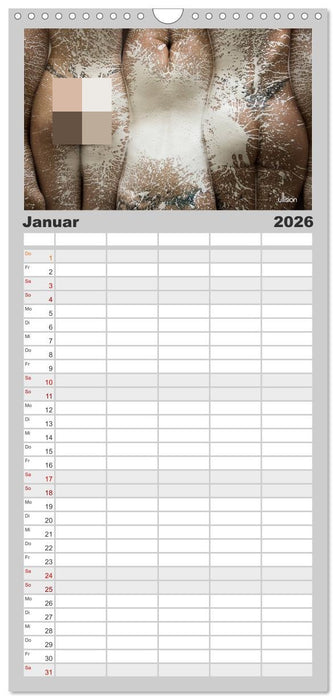 FARBSPIELE - Akt im Feuerwerk der Farben (CALVENDO Familienplaner 2026)