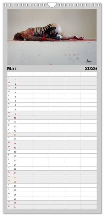 FARBSPIELE - Akt im Feuerwerk der Farben (CALVENDO Familienplaner 2026)