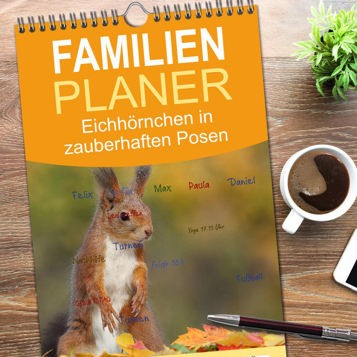 Eichhörnchen in zauberhaften Posen (CALVENDO Familienplaner 2026)