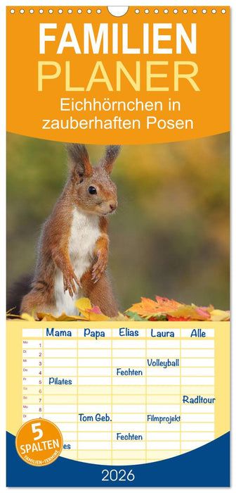 Eichhörnchen in zauberhaften Posen (CALVENDO Familienplaner 2026)