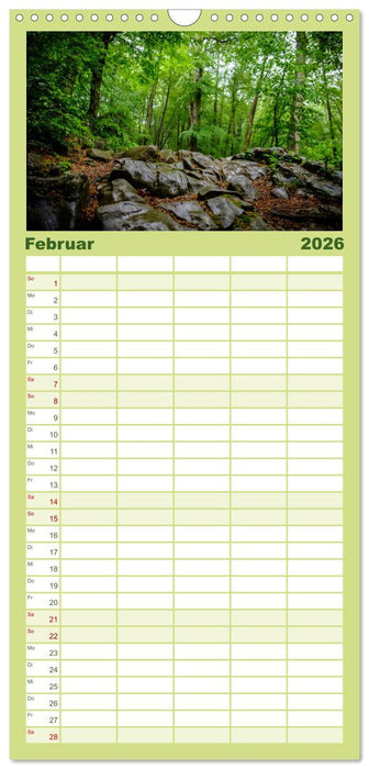 Wege des einfachen Glücks - Spaziergänge im Wald (CALVENDO Familienplaner 2026)