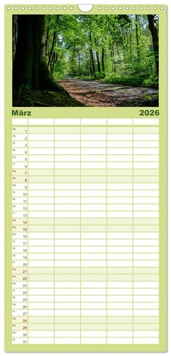 Wege des einfachen Glücks - Spaziergänge im Wald (CALVENDO Familienplaner 2026)