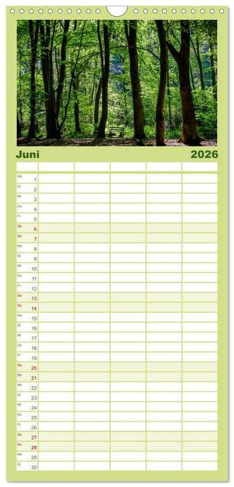 Wege des einfachen Glücks - Spaziergänge im Wald (CALVENDO Familienplaner 2026)