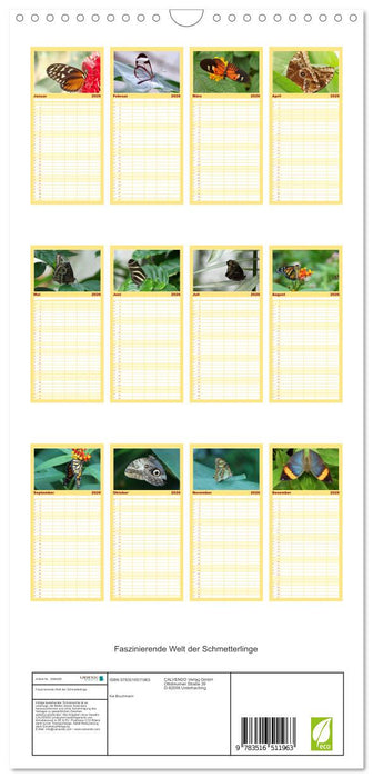 Faszinierende Welt der Schmetterlinge (CALVENDO Familienplaner 2026)