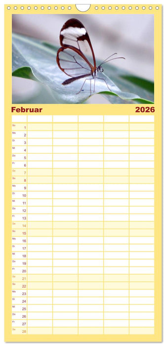 Faszinierende Welt der Schmetterlinge (CALVENDO Familienplaner 2026)