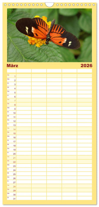 Faszinierende Welt der Schmetterlinge (CALVENDO Familienplaner 2026)