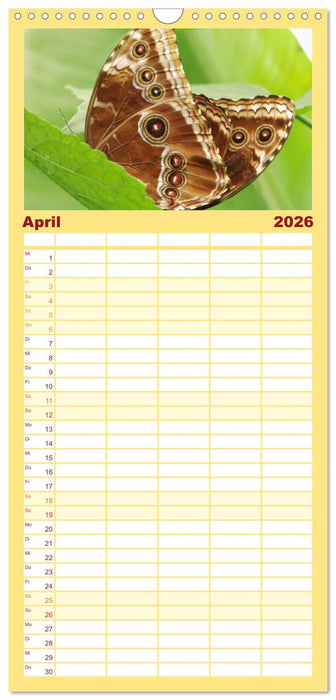 Faszinierende Welt der Schmetterlinge (CALVENDO Familienplaner 2026)