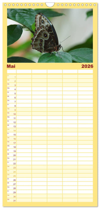 Faszinierende Welt der Schmetterlinge (CALVENDO Familienplaner 2026)