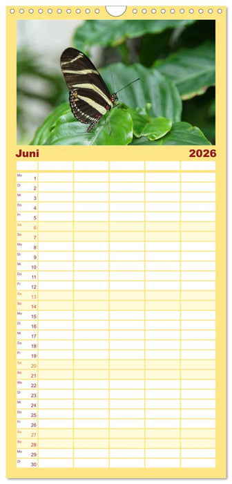 Faszinierende Welt der Schmetterlinge (CALVENDO Familienplaner 2026)