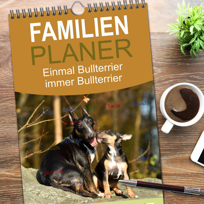 Einmal Bullterrier - immer Bullterrier (CALVENDO Familienplaner 2026)
