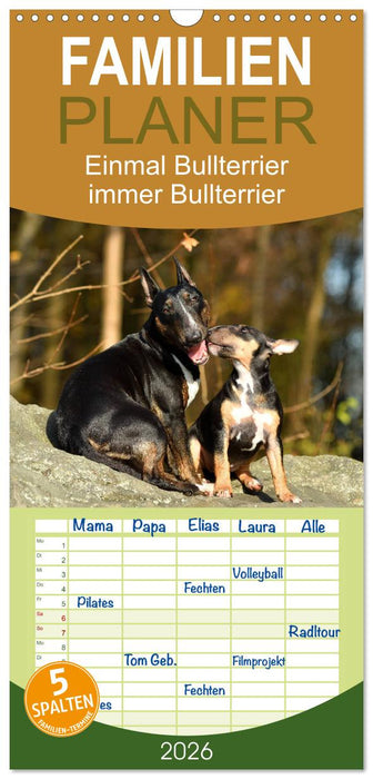 Einmal Bullterrier - immer Bullterrier (CALVENDO Familienplaner 2026)