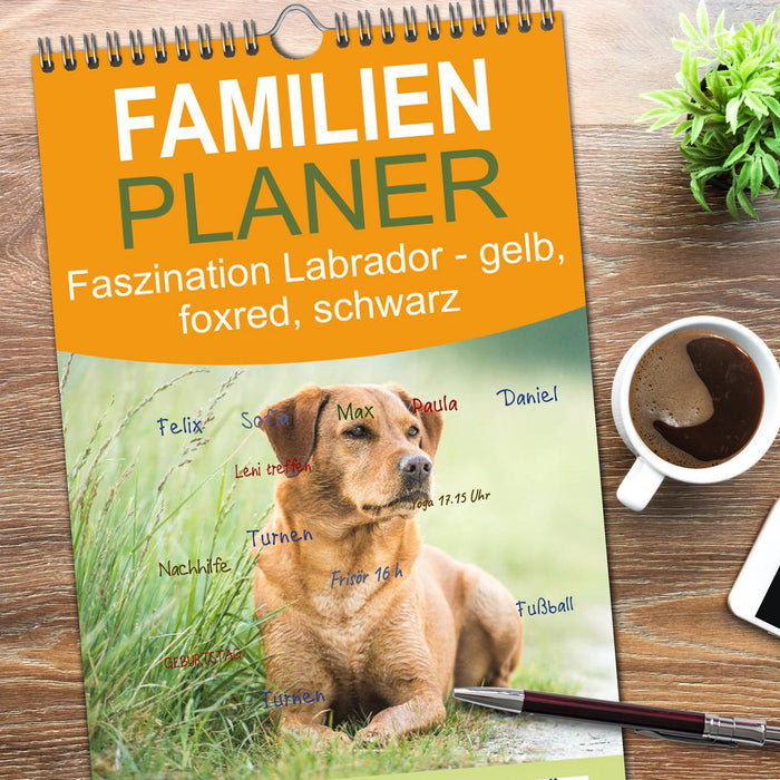 Faszination Labrador - gelb, foxred, schwarz (CALVENDO Familienplaner 2026)
