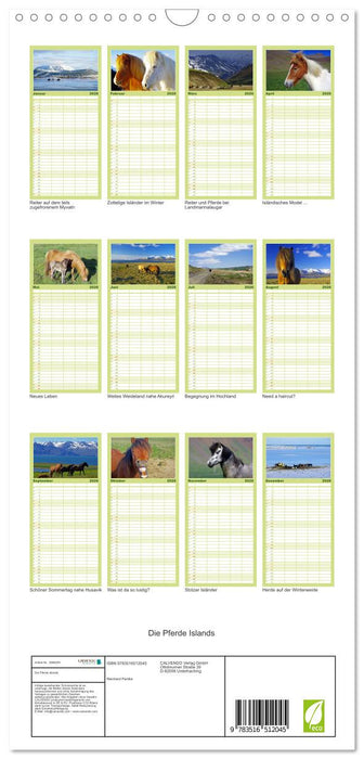 Die Pferde Islands (CALVENDO Familienplaner 2026)