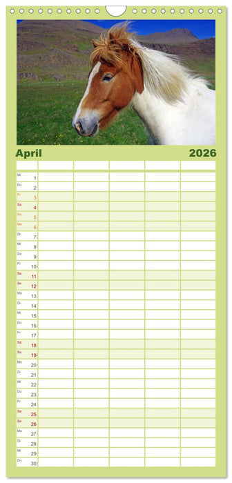 Die Pferde Islands (CALVENDO Familienplaner 2026)