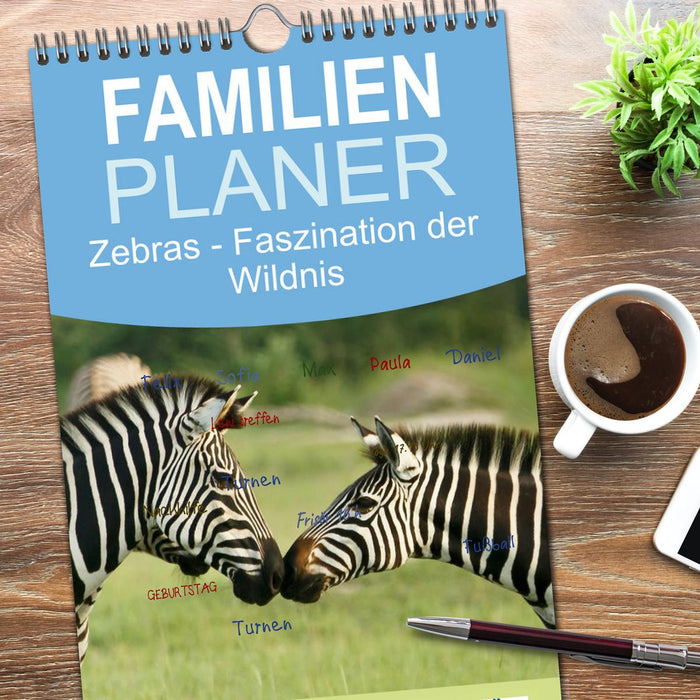 Zebras - Faszination der Wildnis (CALVENDO Familienplaner 2026)