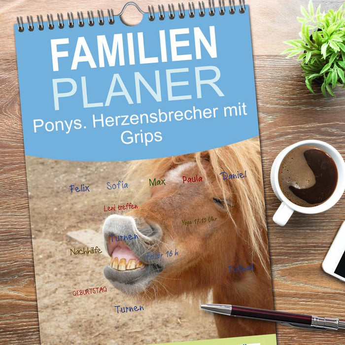 Ponys. Herzensbrecher mit Grips (CALVENDO Familienplaner 2026)
