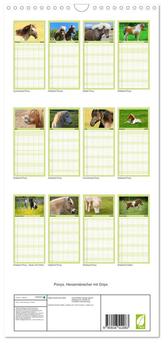 Ponys. Herzensbrecher mit Grips (CALVENDO Familienplaner 2026)