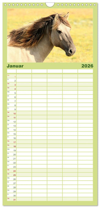 Ponys. Herzensbrecher mit Grips (CALVENDO Familienplaner 2026)