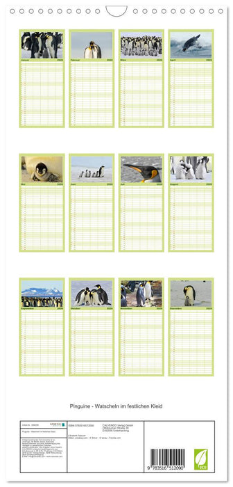Pinguine - Watscheln im festlichen Kleid (CALVENDO Familienplaner 2026)