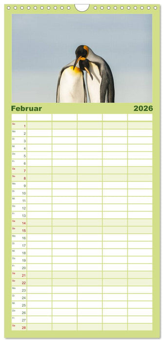 Pinguine - Watscheln im festlichen Kleid (CALVENDO Familienplaner 2026)