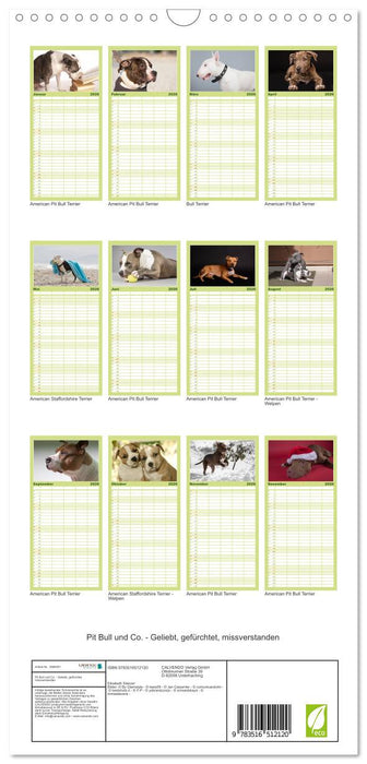 Pit Bull und Co. - Geliebt, gefürchtet, missverstanden (CALVENDO Familienplaner 2026)