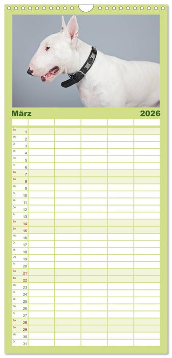 Pit Bull und Co. - Geliebt, gefürchtet, missverstanden (CALVENDO Familienplaner 2026)