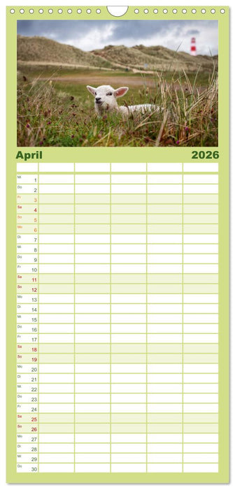 SYLT hinter den Dünen (CALVENDO Familienplaner 2026)