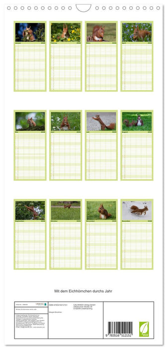 Mit dem Eichhörnchen durchs Jahr (CALVENDO Familienplaner 2026)