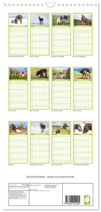 Das Esel-Paradies - Hunde und andere Feunde (CALVENDO Familienplaner 2026)