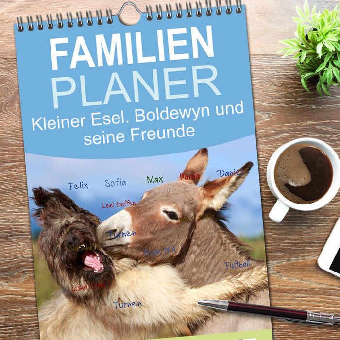 Kleiner Esel. Boldewyn und seine Freunde (CALVENDO Familienplaner 2026)