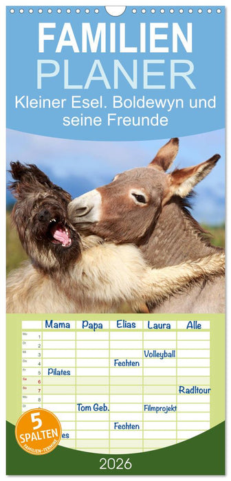Kleiner Esel. Boldewyn und seine Freunde (CALVENDO Familienplaner 2026)