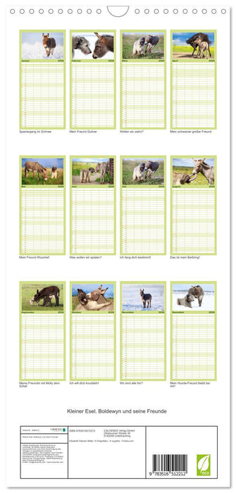 Kleiner Esel. Boldewyn und seine Freunde (CALVENDO Familienplaner 2026)