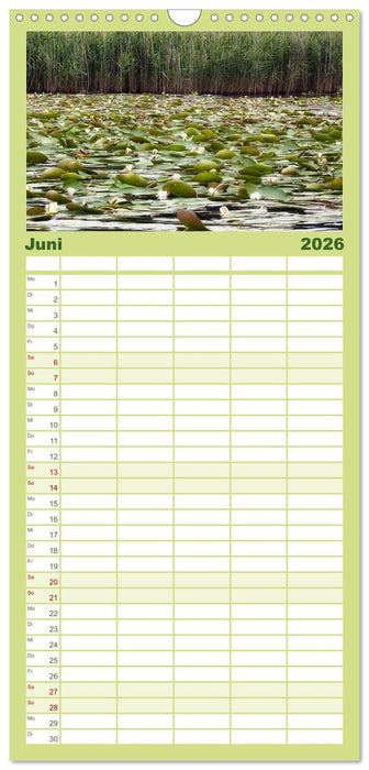 Mecklenburgische Seenplatte - zum Träumen schön (CALVENDO Familienplaner 2026)