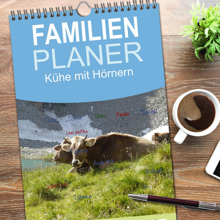 Kühe mit Hörnern (CALVENDO Familienplaner 2026)