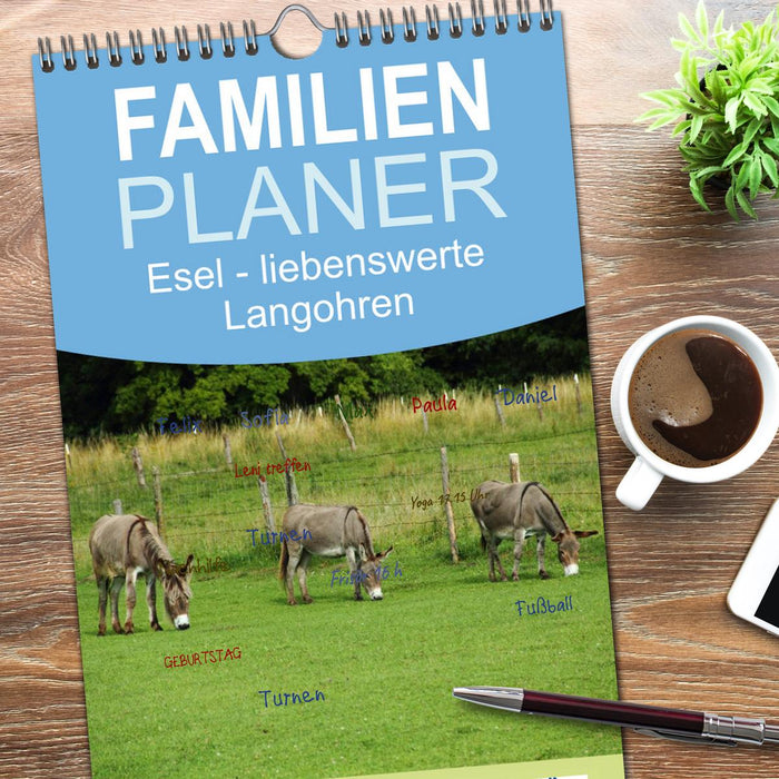 Esel - liebenswerte Langohren (CALVENDO Familienplaner 2026)