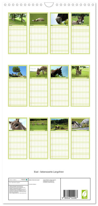 Esel - liebenswerte Langohren (CALVENDO Familienplaner 2026)