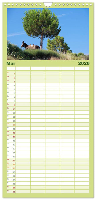 Esel - liebenswerte Langohren (CALVENDO Familienplaner 2026)