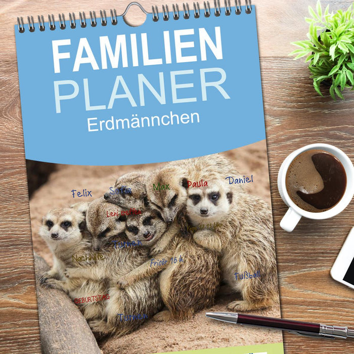 Erdmännchen (CALVENDO Familienplaner 2026)