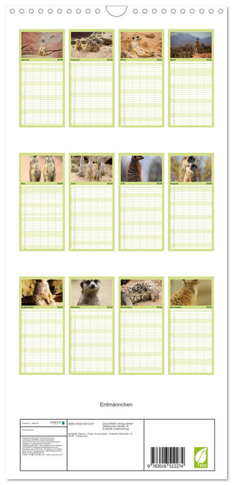 Erdmännchen (CALVENDO Familienplaner 2026)