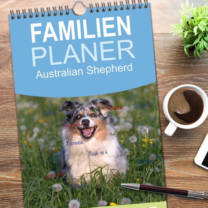 Australian Shepherd (CALVENDO Familienplaner 2026)
