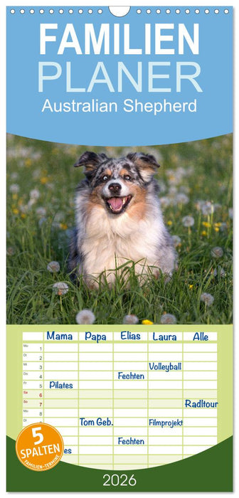 Australian Shepherd (CALVENDO Familienplaner 2026)