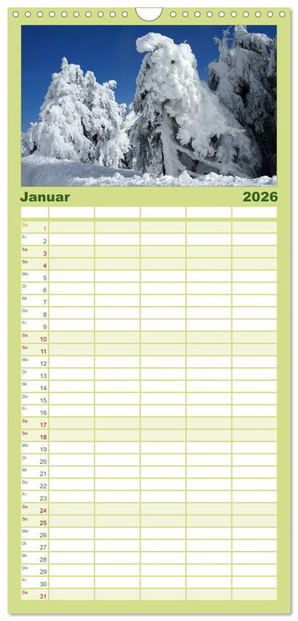 Alte Bäume Alte Veteranen (CALVENDO Familienplaner 2026)