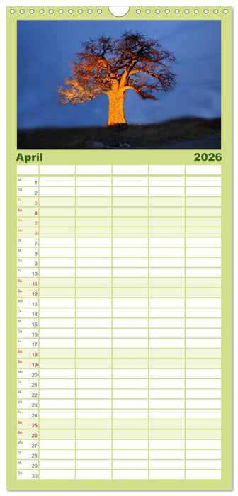 Alte Bäume Alte Veteranen (CALVENDO Familienplaner 2026)