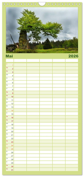 Alte Bäume Alte Veteranen (CALVENDO Familienplaner 2026)