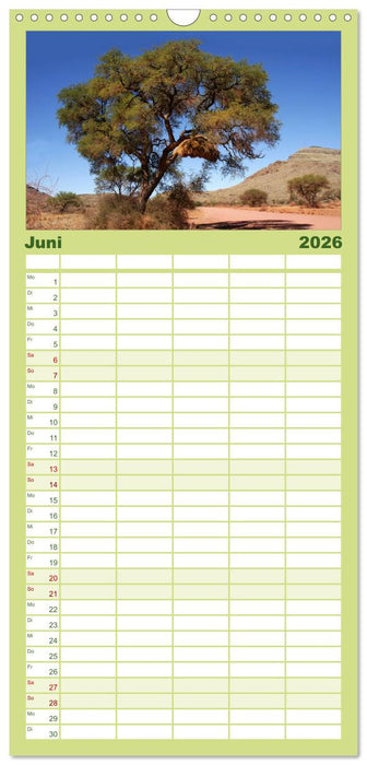 Alte Bäume Alte Veteranen (CALVENDO Familienplaner 2026)