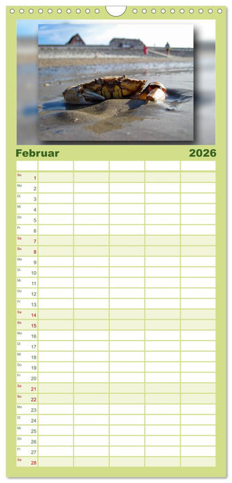Baltrum - Ein Tag am Strand (CALVENDO Familienplaner 2026)