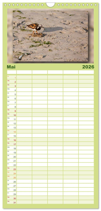 Baltrum - Ein Tag am Strand (CALVENDO Familienplaner 2026)