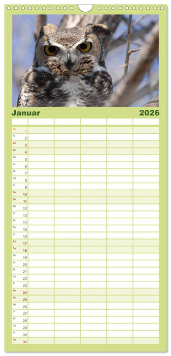 Eulen. Wächter der Nacht (CALVENDO Familienplaner 2026)