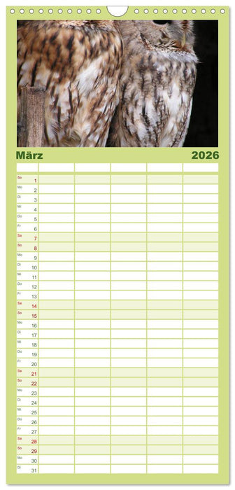 Eulen. Wächter der Nacht (CALVENDO Familienplaner 2026)